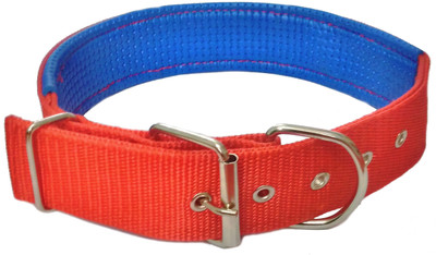 

Sollar's Red Nylon Padded  Dog Everyday Collar(, Red, Blue, Blue;red