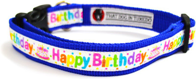 

That Dog in Tuxedo Happy Birthday -(M-L) Dog Everyday Collar(, BLUE