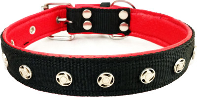 

Petshop7 Nylon 1 inch  soft Padding Dog Everyday Collar(, Black