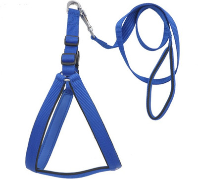 

Wonder Wish Dog Harness & Leash(, Blue