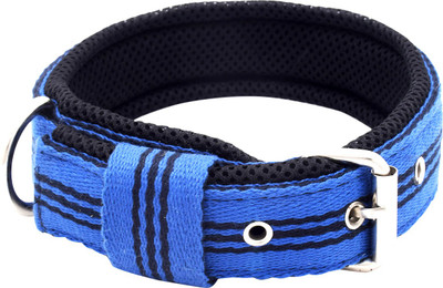 

Growl Dog Everyday Collar(, blue