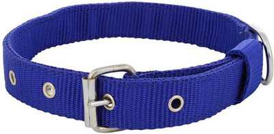 

Imago Dog Everyday Collar(, Blue