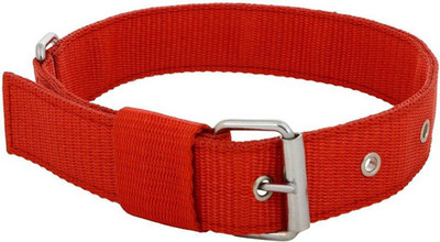 

Imago Dog Everyday Collar(, Red