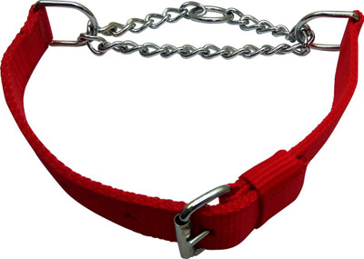 

Golddust 0.75inch Dog Harness & Chain(, Red