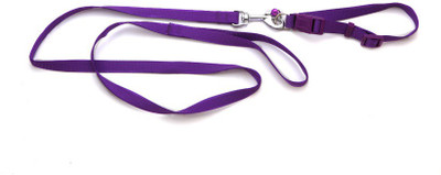 

Ecocart Dog & Cat Collar & Leash(, purple