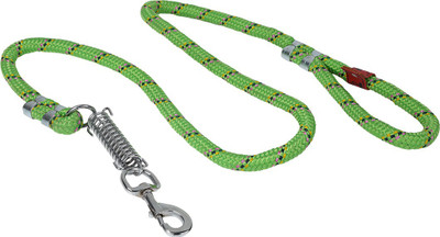TommyChew SoftGrip Dog Everyday Collar(, Green