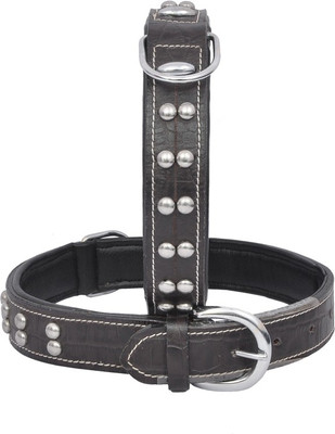 

Wonder Wish Dog Everyday Collar(, Black