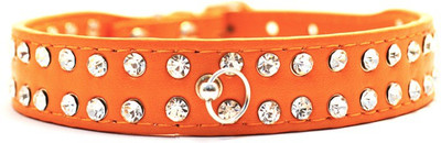 

That Dog in Tuxedo The Prom Night Dog Everyday Collar(, Orange
