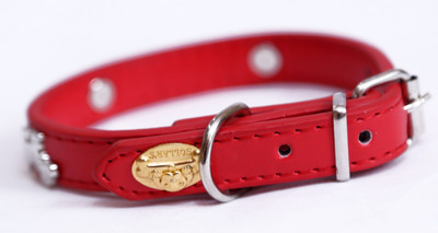 

Pethub Bone Style Collar -Red Dog Everyday Collar(, Red