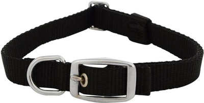 

Imago Dog Everyday Collar(, Black