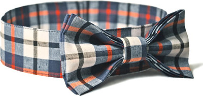 

That Dog in Tuxedo Dog at Work Bow Tie Dog Show Collar(, Blue