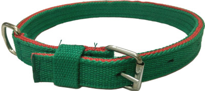 

Sollar's Dog Everyday Collar(, Green