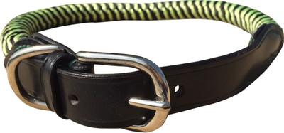 

NappetsIndia Secure Dog Everyday Collar(, Green, Yellow