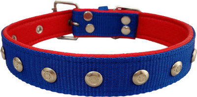 

Petshop7 Nylon 1 inch  soft Padding Dog Everyday Collar(, Blue