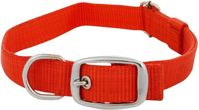 Imago Dog Everyday Collar(, Red
