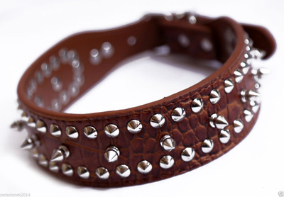 

Sollar's Stylish Dog Spike Leather 1.50 Inch Dog Everyday Collar(, Brown