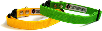 

That Dog in Tuxedo Yellow and Green (M-L) Dog Everyday Collar(, Yellow, Green, Green;yellow