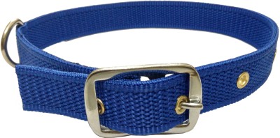 SOLLAR'S Dog Everyday Collar(Medium, Blue)