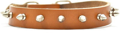 

That Dog in Tuxedo The Spiky Studded Dog Everyday Collar(, Brown
