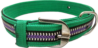 

Sollar's Dog Everyday Collar(, Green