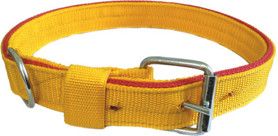 

Sollar's 4 Ply Dog Everyday Collar(, Yellow