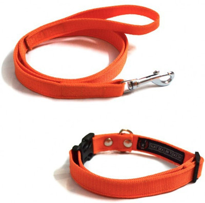 

That Dog in Tuxedo Orange Adjustable Nylon  Dog Collar & Leash(, Orange