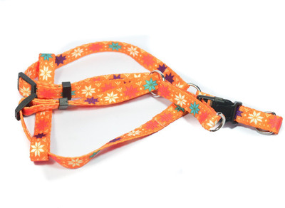 

Sollar's Dog Harness & Leash(, Perry Orange Sollar Harness