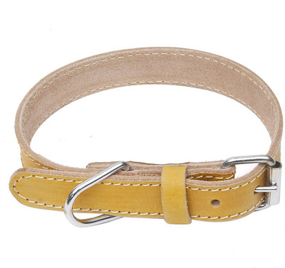 

Hawai Chrome Plated Buckle Dog Everyday Collar(, Yellow