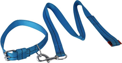 TommyChew Regular Dog Everyday Collar(, Blue