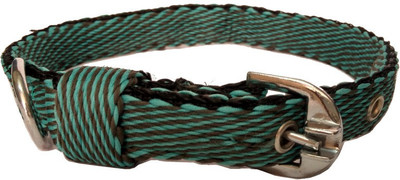 

Sollar's Dog Everyday Collar(, Red