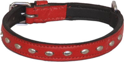 

Pethub Standard Collar -Red Dog Everyday Collar(, Red