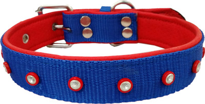 Petshop7 Nylon 1 inch  soft Padding Dog Everyday Collar(, Blue