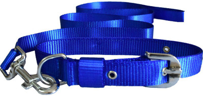 

Paw Zone Dog Collar & Leash(, Blue