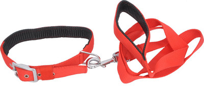 

Wonder Wish WONDER WISH DOG COLLAR AND LEASH Dog Collar & Leash(, Red