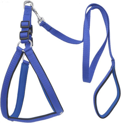 Wonder Wish Dog Harness & Leash(, Blue