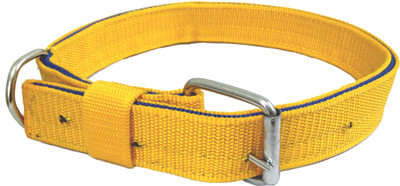 

Sollar's 4 Ply Dog Everyday Collar(, Yellow