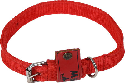 

TommyChew Regular Dog Everyday Collar(, Red