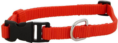 

Imago Dog Everyday Collar(, Red