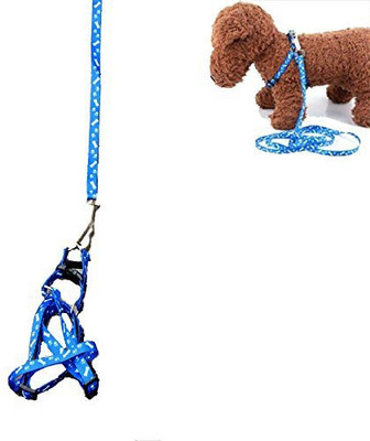 Futaba Traction Rope Nylon Leash Harness Chest Collar Drawing Neck Lead Strap Dog Harness & Leash(, Blue