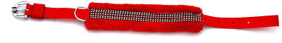 

Ecocart Dog Show Collar(, red
