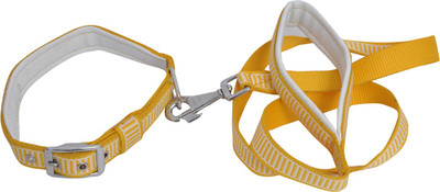 

Wonder Wish Wonder Wish LLT-DCE-604-B Dog Collar & Leash(, Yellow
