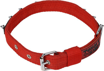 

TommyChew Spiky Dog Everyday Collar(, Red