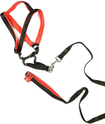 

TommyChew Premia Dog Safety Harness(, Black, red