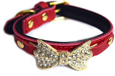 

Paw Zone Dog & Cat Head Collar(, Red