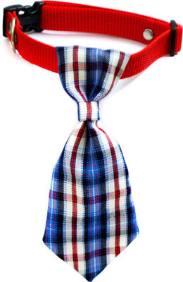 

That Dog in Tuxedo Royal Plaid Neck Tie -M-L Dog Everyday Collar(, BLUE