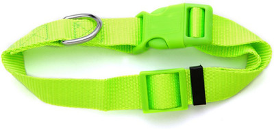 

Ecocart Dog Everyday Collar(, Green