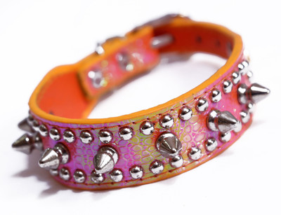 

Pets Planet Dog Show Collar(, Blue