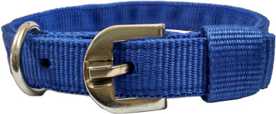 

Sollar's Dog Everyday Collar(, Blue