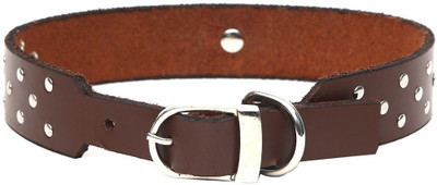 

Hawai Style And Comfort Dog Everyday Collar(, Brown