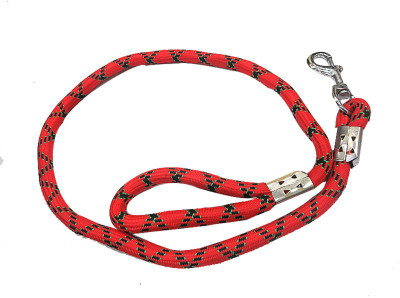 

DCS Dog Collar & Leash(, Multicolor